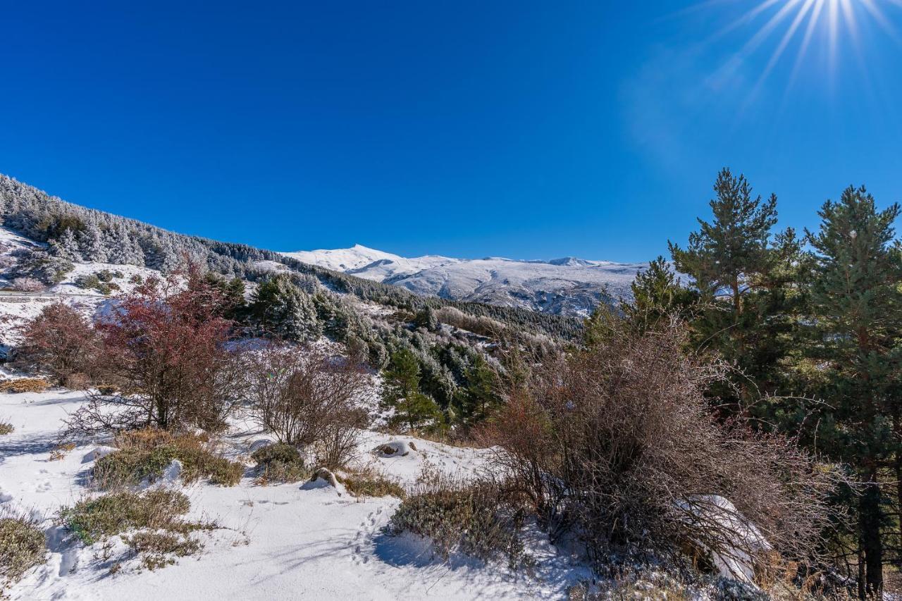 Apartamento Candela Sierra Nevada Zewnętrze zdjęcie